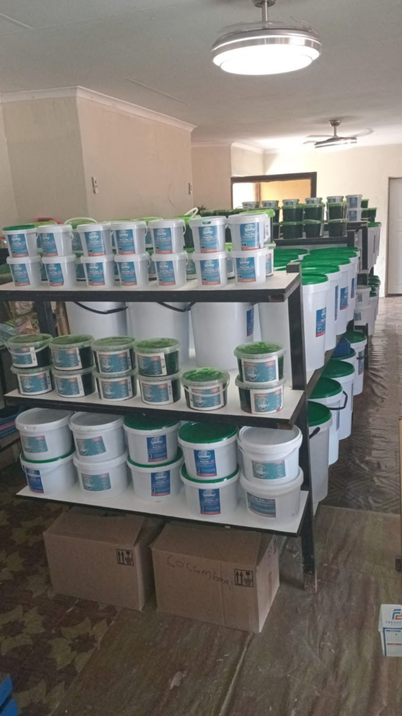 Freshstart - cleaning product manufacturers pine gel on a store display shelf